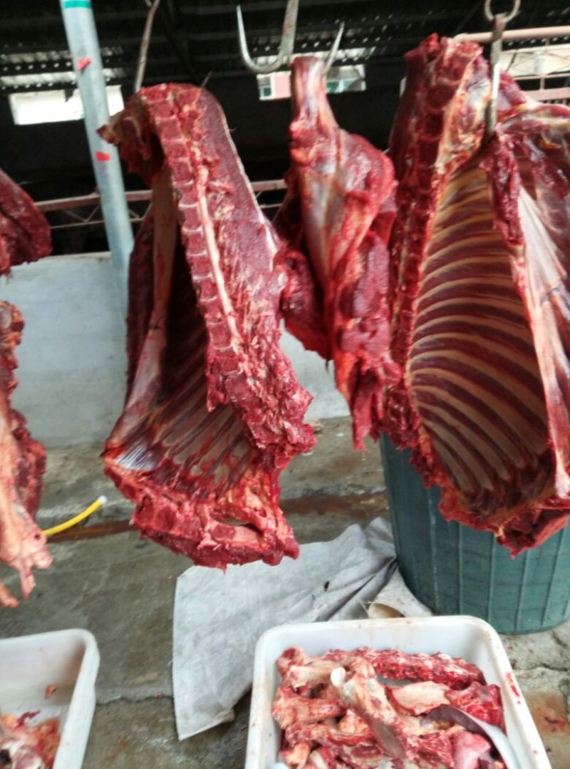 驴肉鲜货