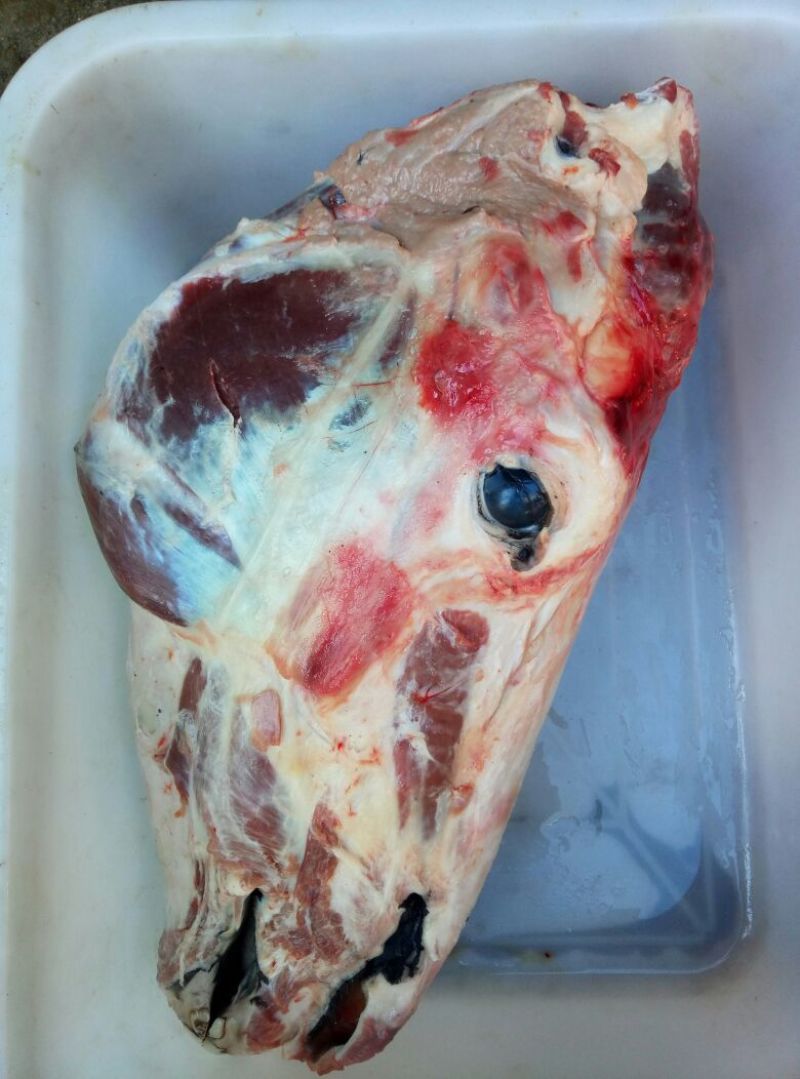 驴肉鲜货