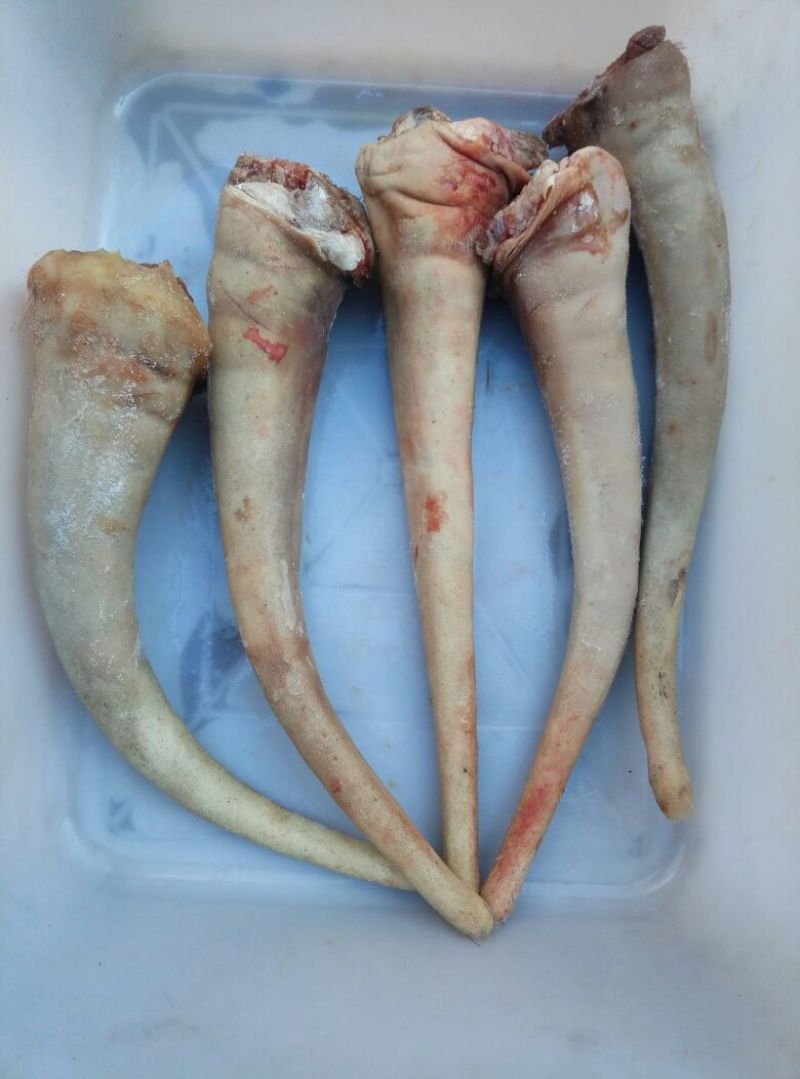 驴肉鲜货