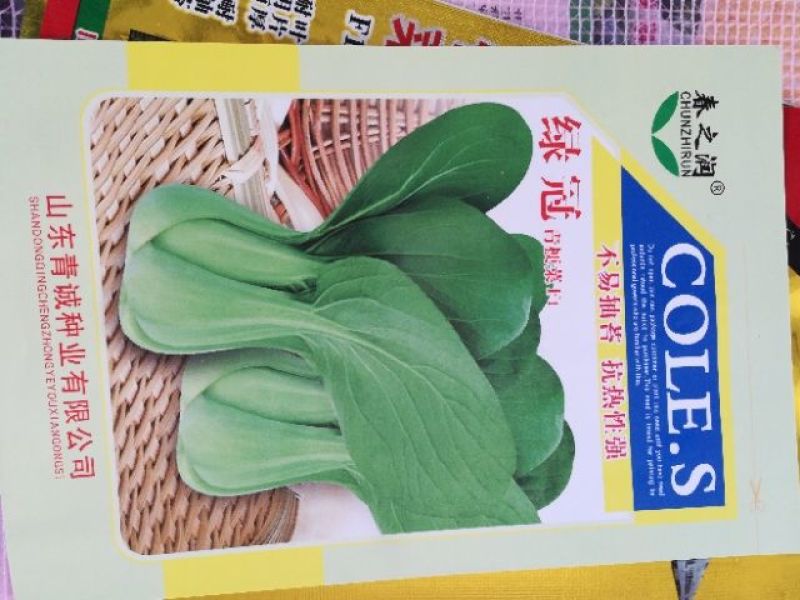 大白菜种子