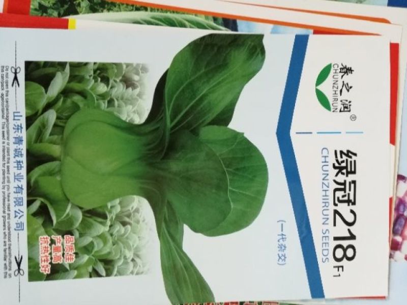 大白菜种子