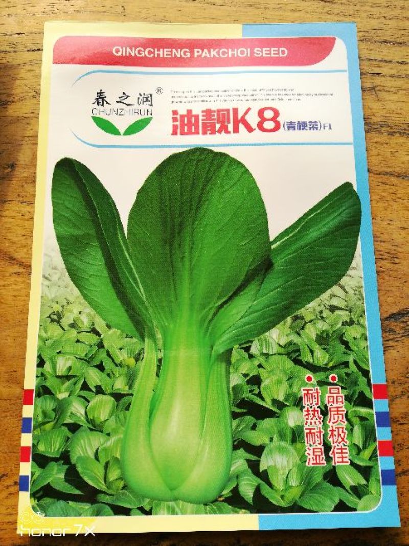 大白菜种子