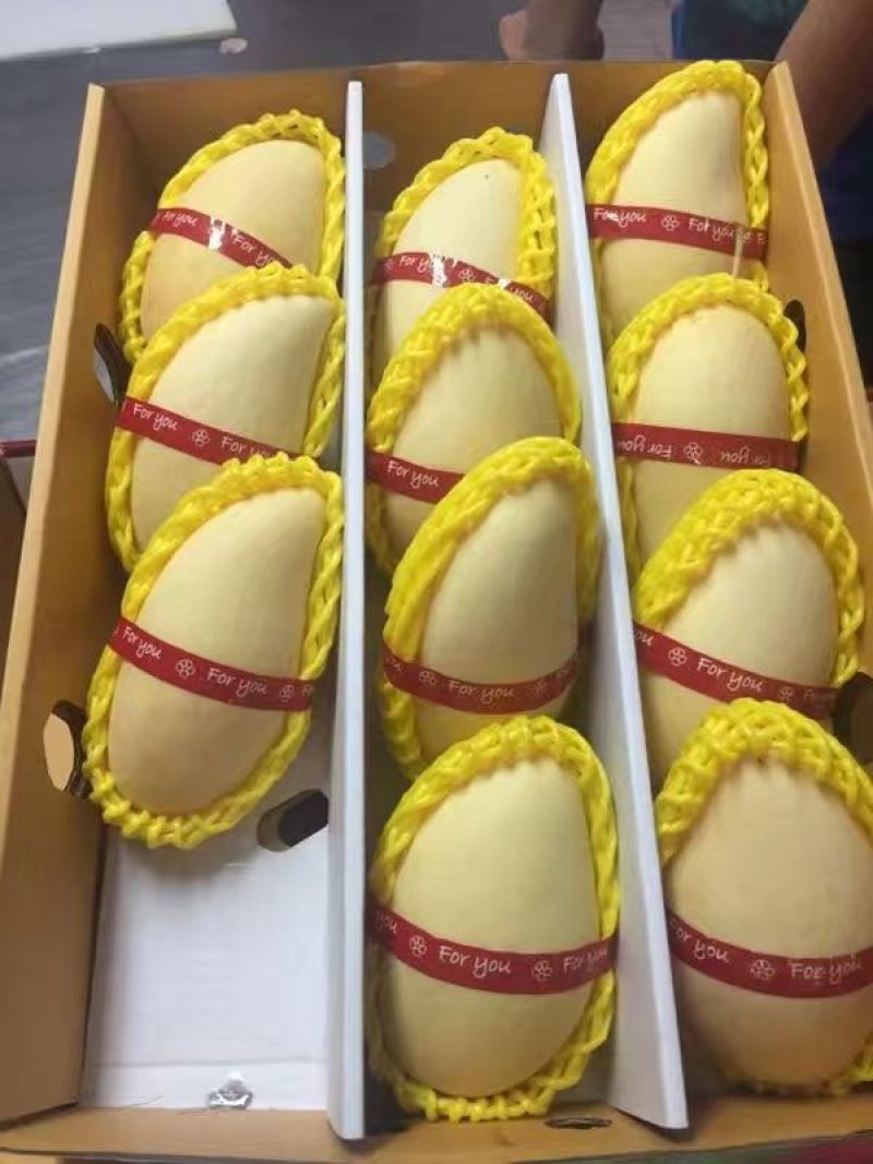 腰芒15两以上