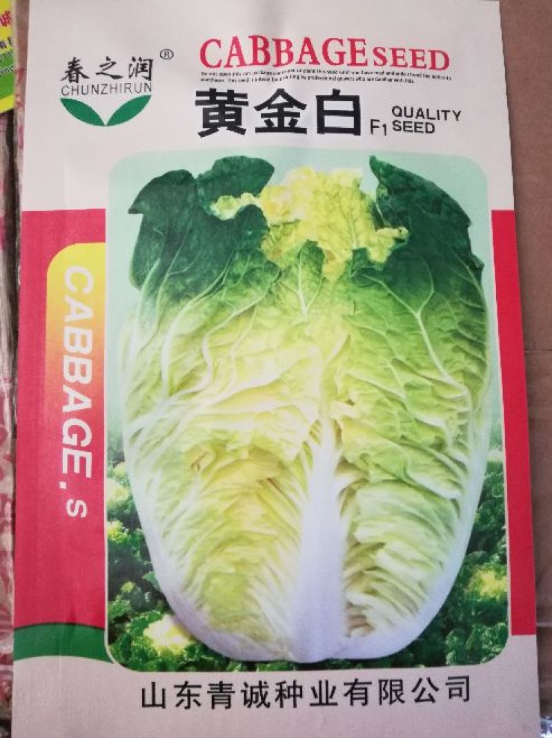 大白菜种子