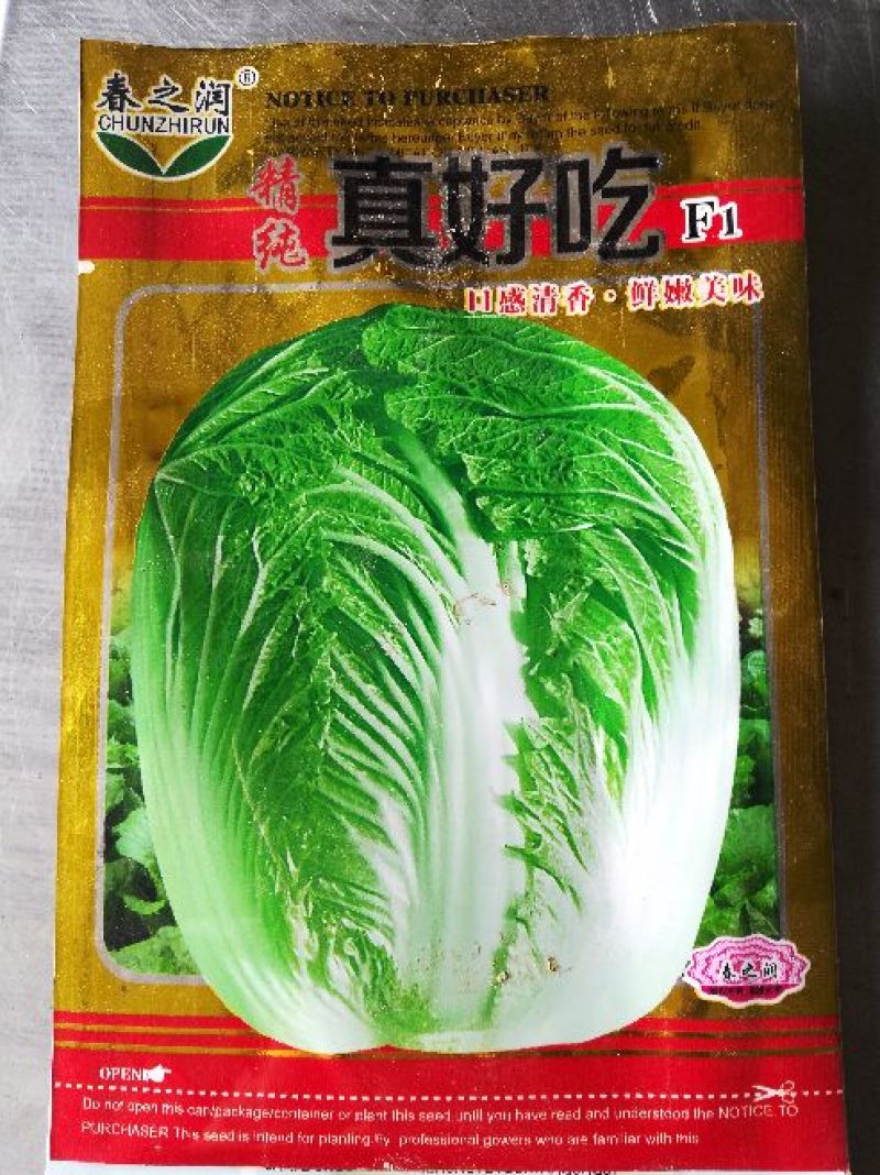 大白菜种子