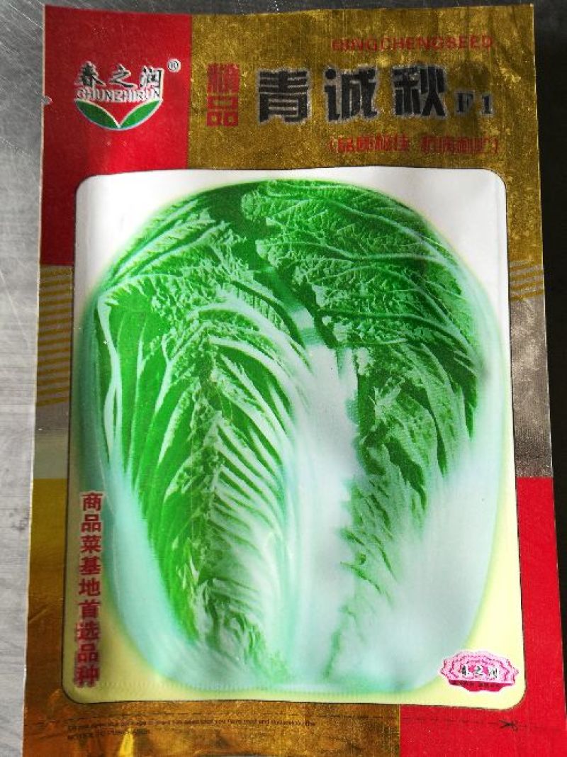 大白菜种子