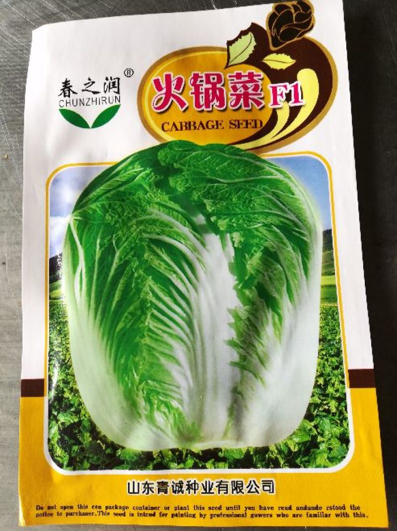 大白菜种子