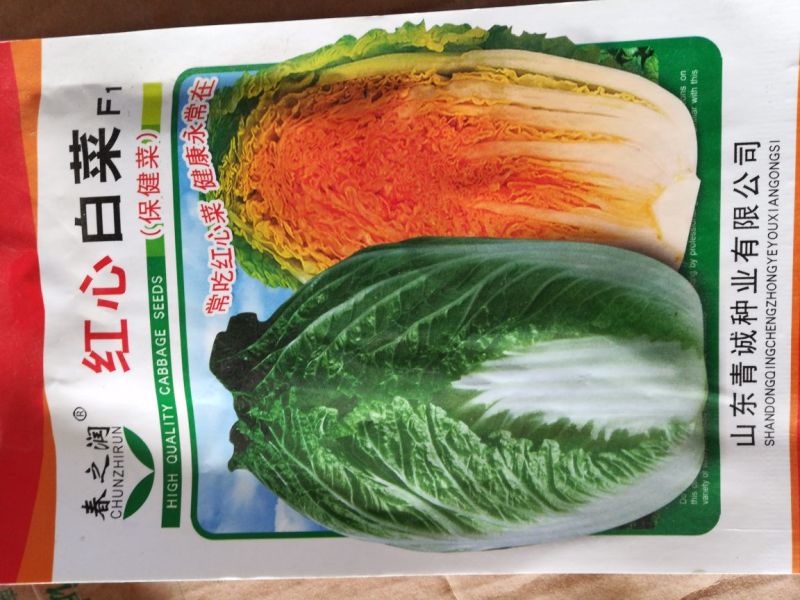 大白菜种子