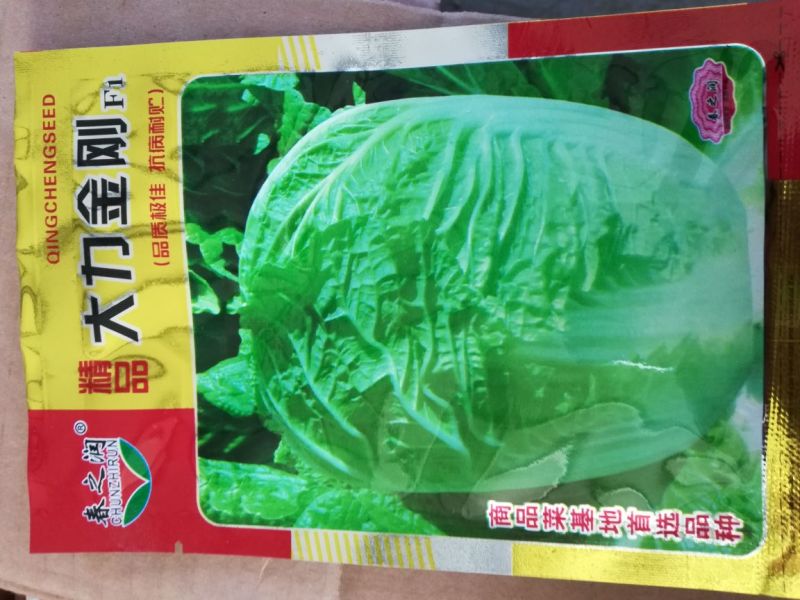 大白菜种子