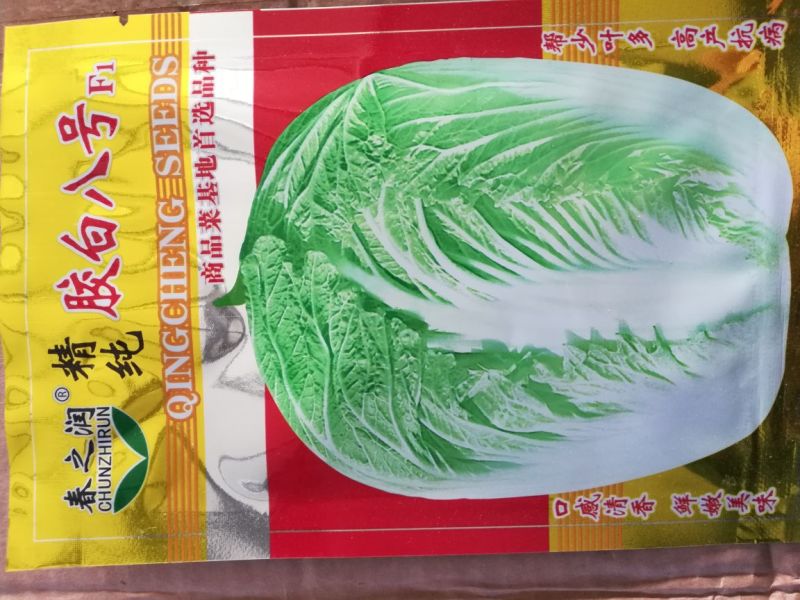 大白菜种子