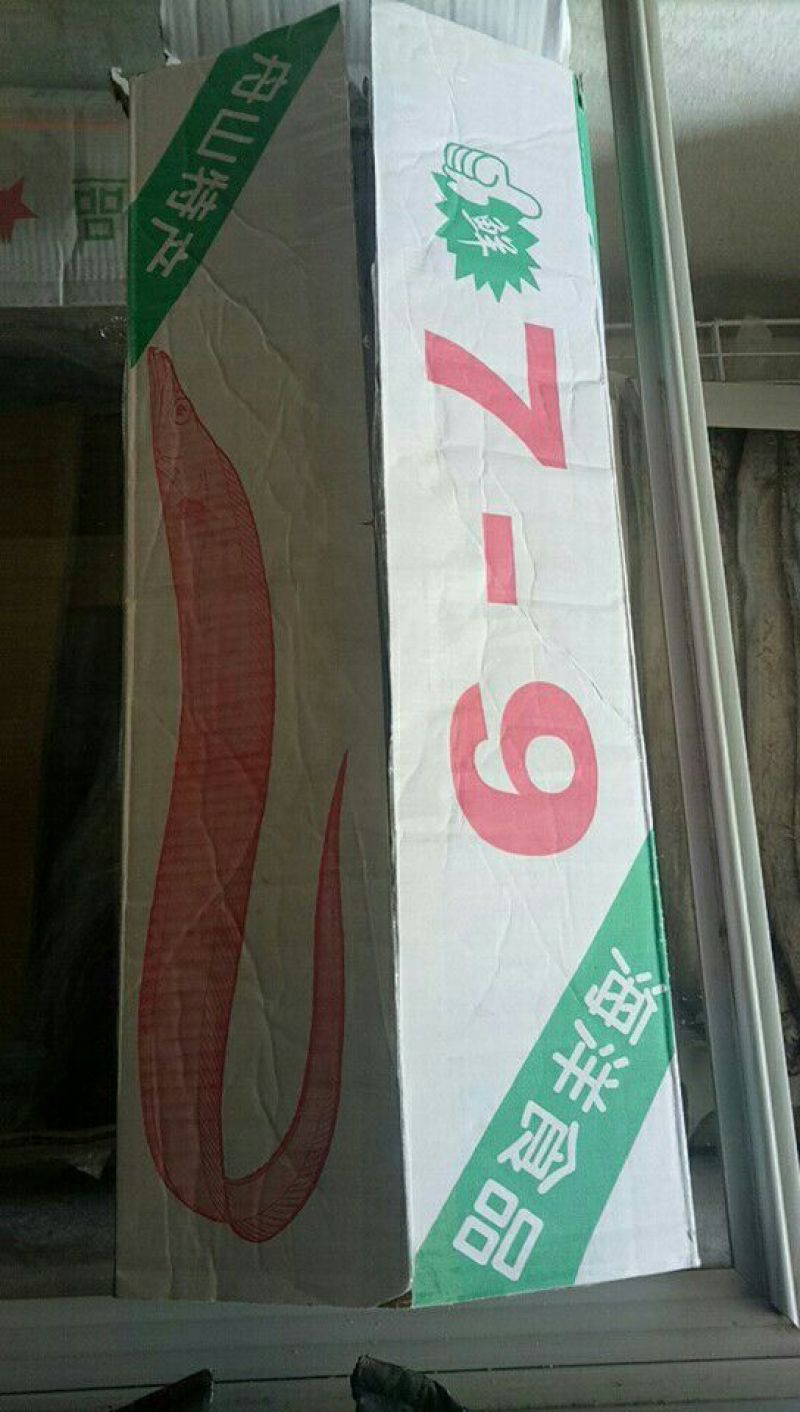刀鱼食用冻鱼