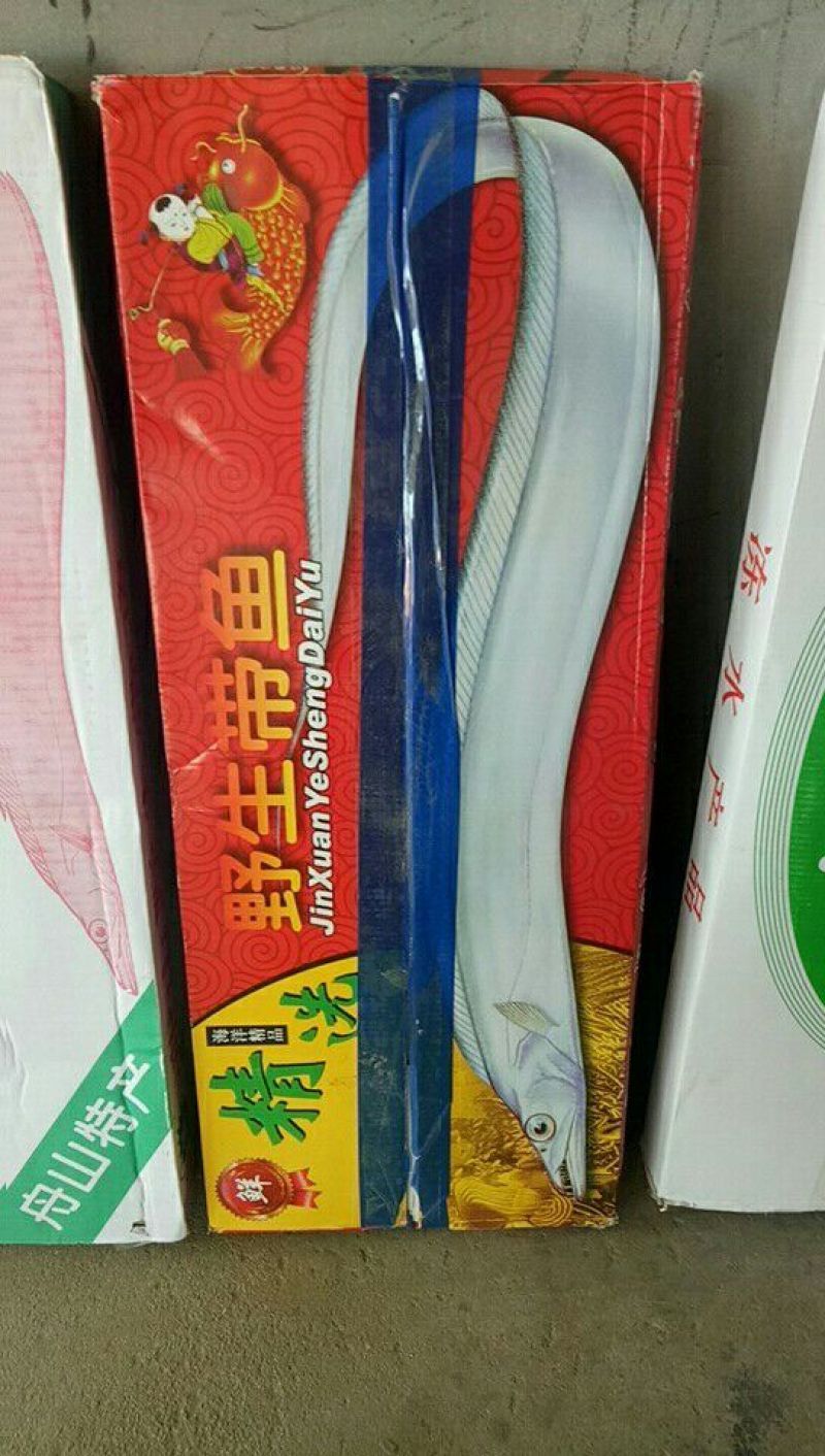 刀鱼食用冻鱼