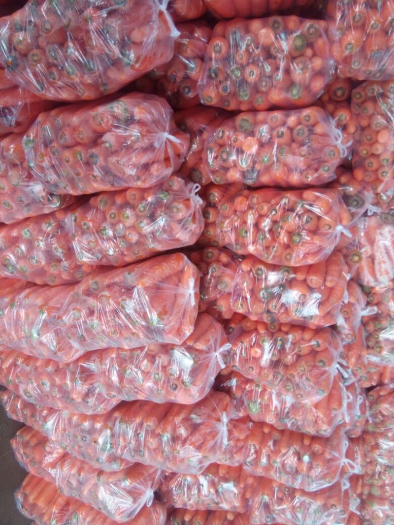 河南南阳三红七寸胡萝卜，带叶，水洗，大量上市
