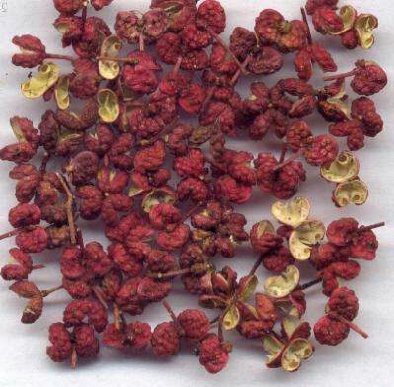 大红袍花椒特级干