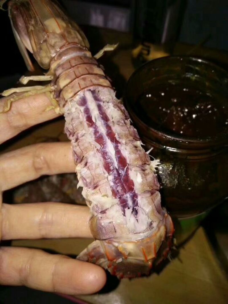 皮皮虾冻虾