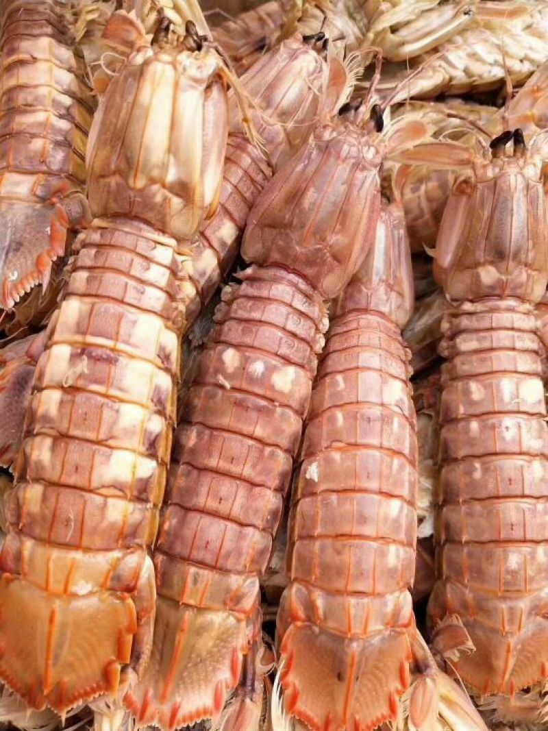 皮皮虾冻虾
