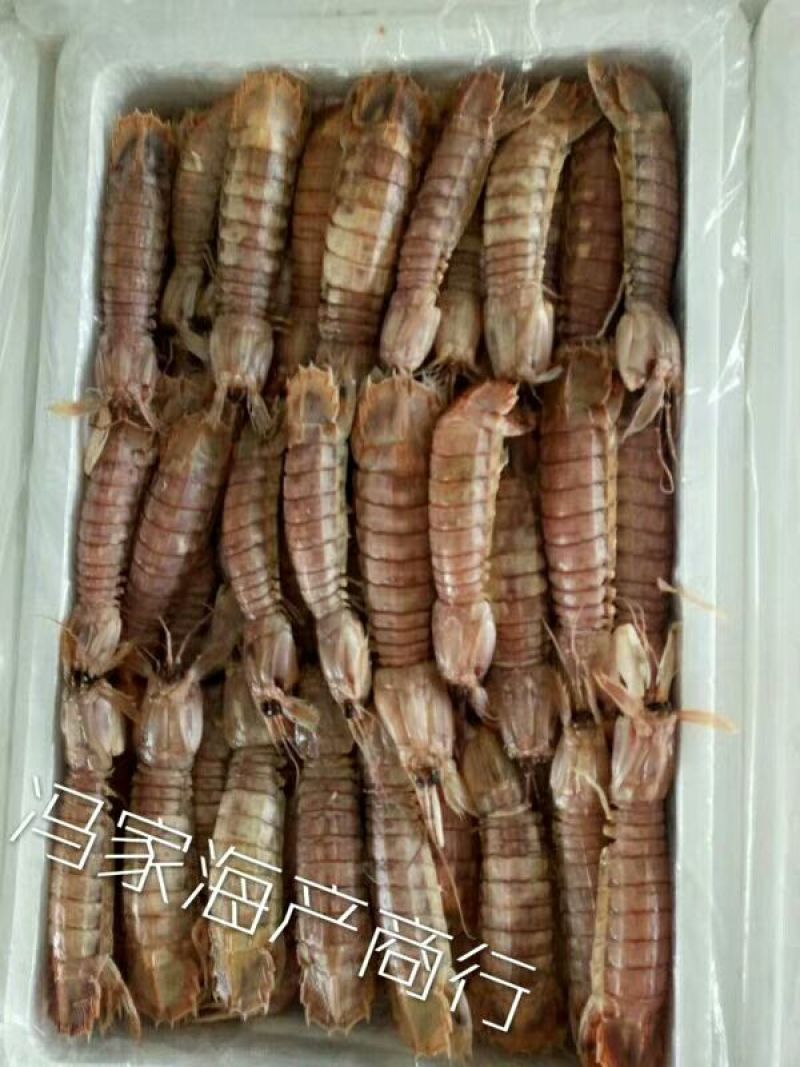 皮皮虾冻虾