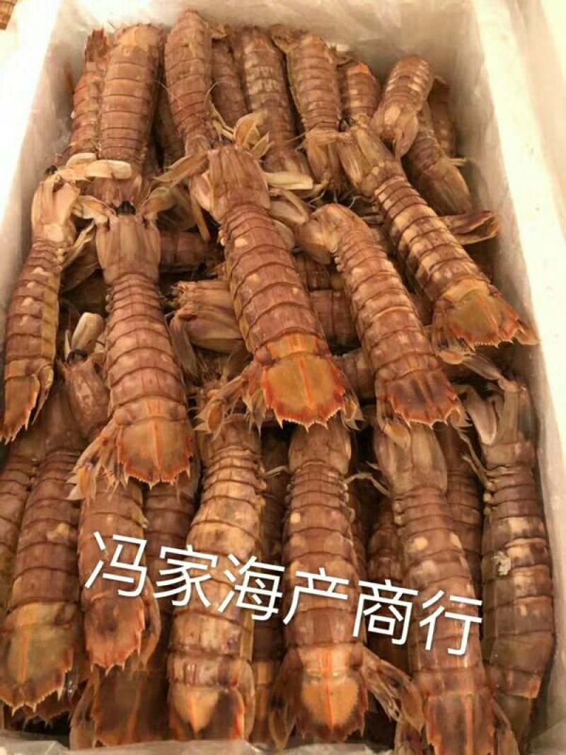 皮皮虾冻虾
