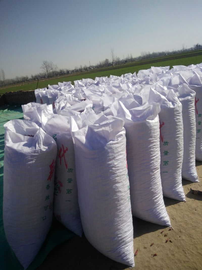 干辣椒三樱八号干辣椒9成干精品产区直供不经过二手环节。