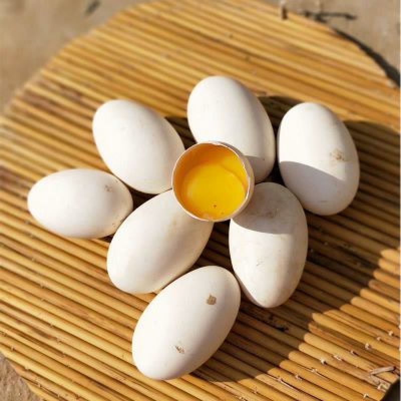 【鹅蛋】新鲜鹅蛋土鹅蛋孕妇去胎毒批发食用一件代发