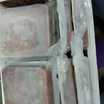 克氏原螯虾小龙虾主养7-9钱（35-45克）食用