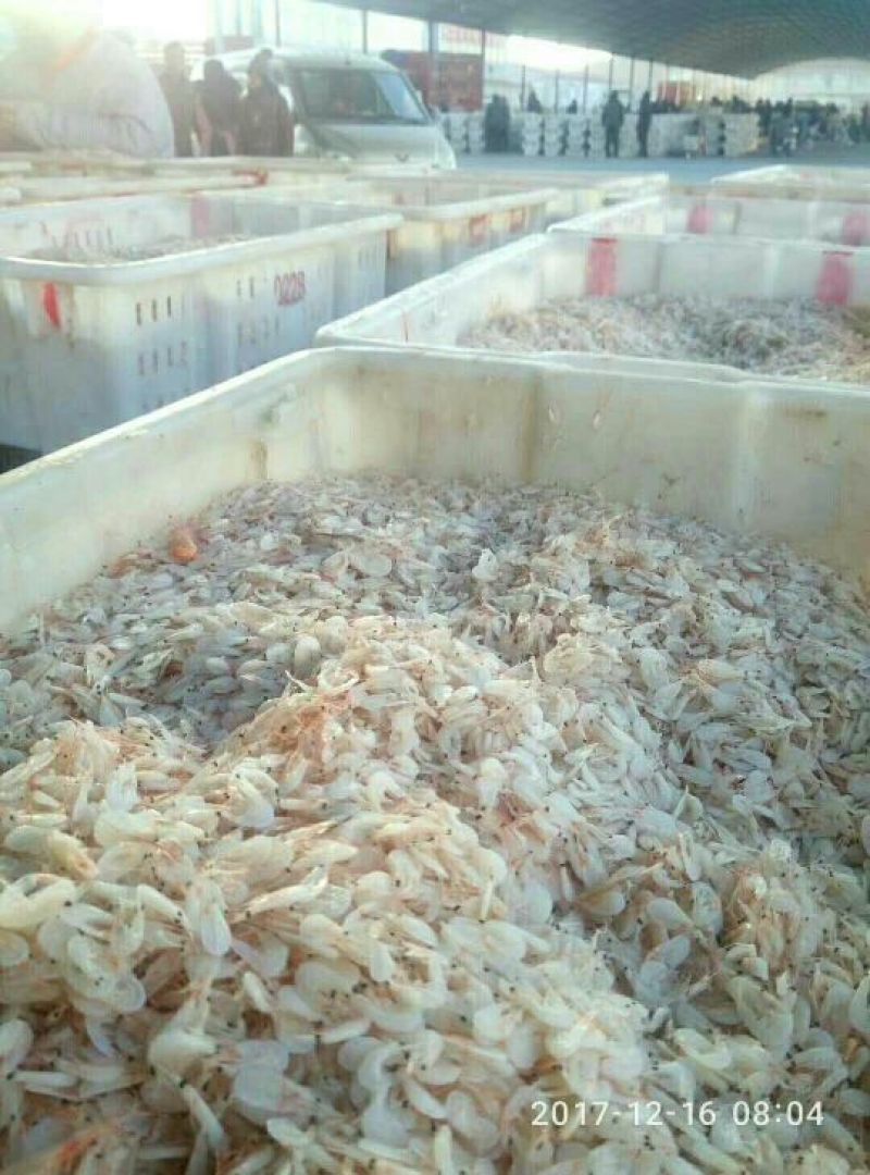虾皮二级