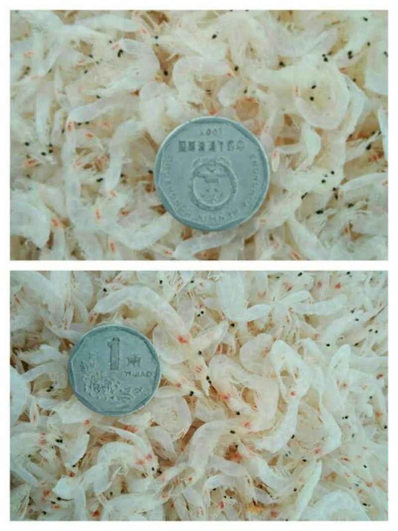 虾皮二级