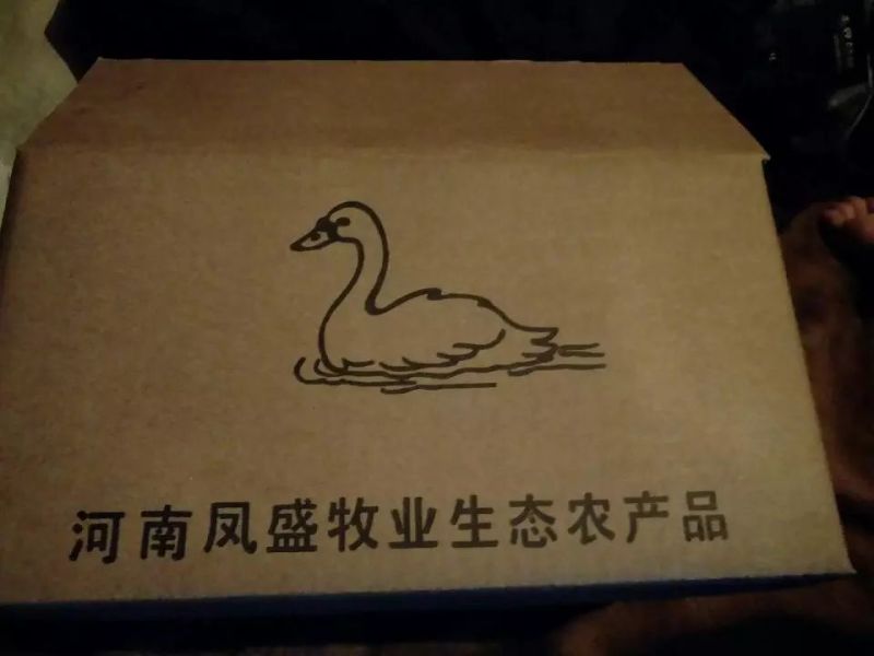 【鹅蛋】新鲜土鹅蛋农家散养去胎毒【商超品质】