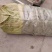 桃子枝条大红桃蟠桃黄金蜜沂蒙霜红桃包邮发货