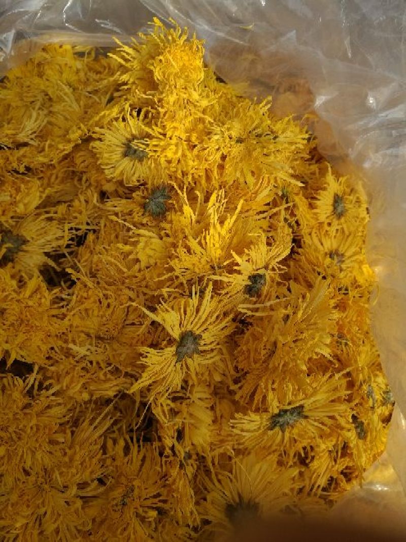 金丝皇菊茶一级