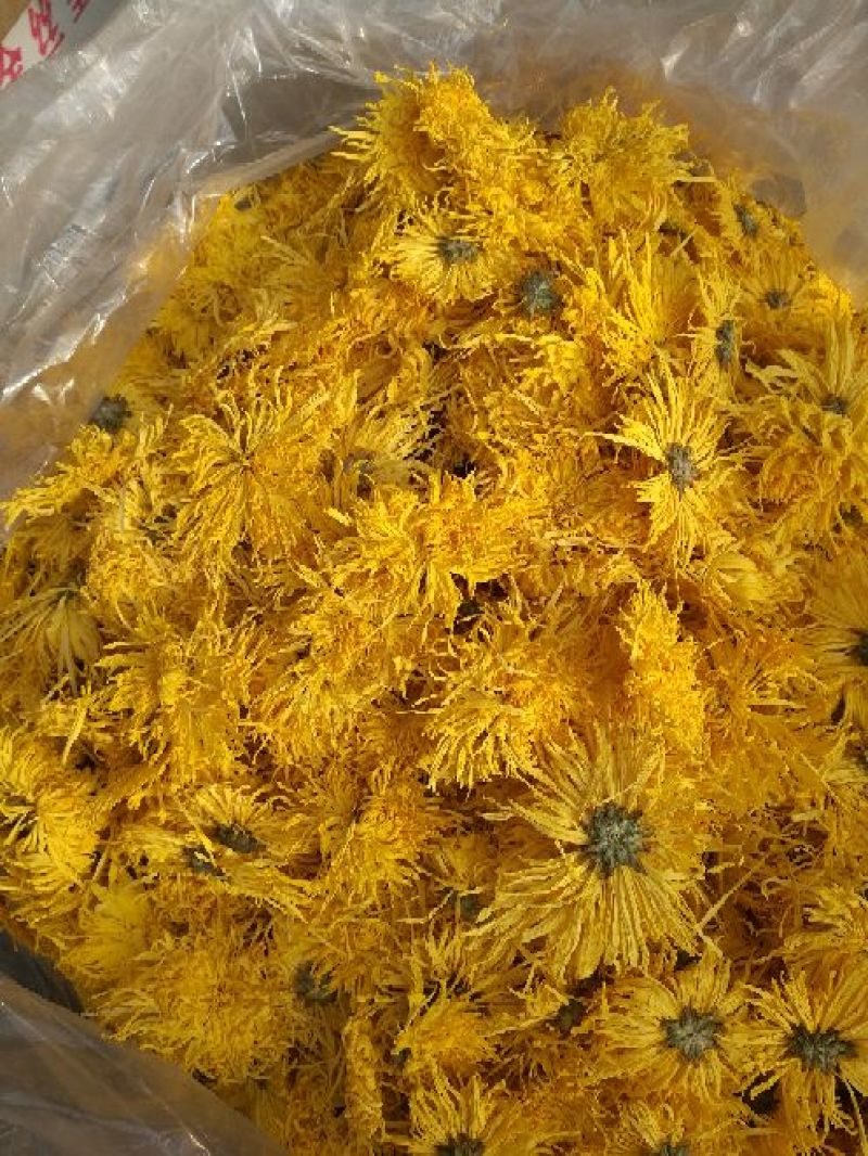 金丝皇菊茶一级