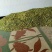 胎菊王散装