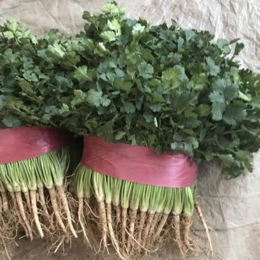 铁杆青香菜冷库货大量出售，供应全国市场，电商……