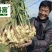 喷科富大蒜大葱生姜洋葱叶面肥生根壮苗促生长膨大素肥料