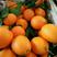 长虹脐橙，果园直发，一手货源，全国发货保质保量，欢迎来电
