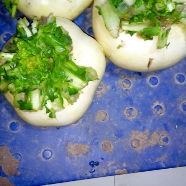 盘菜圆形