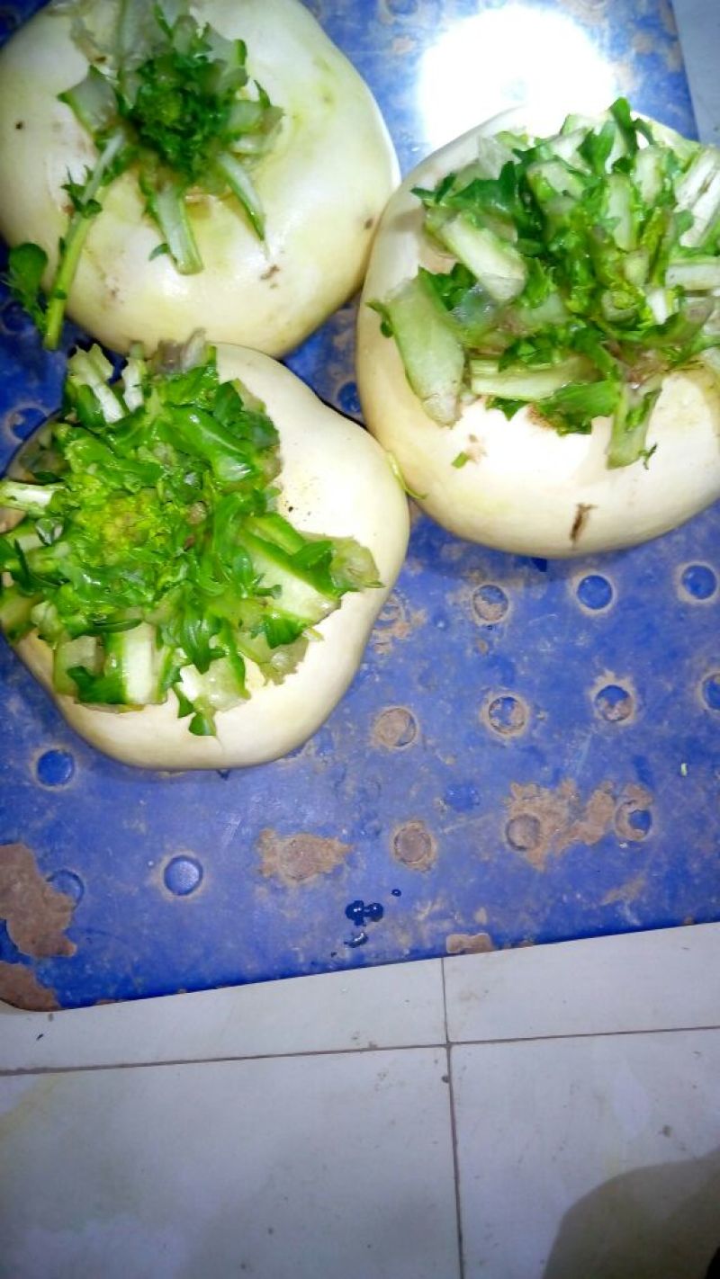 盘菜圆形