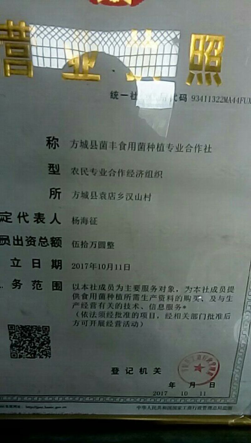 808香菇棒18*60公分