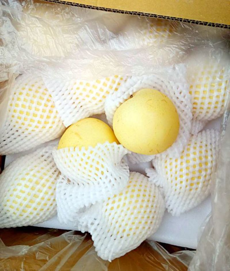 皇冠梨精品礼盒装，彩箱装，一手货源，价格美丽