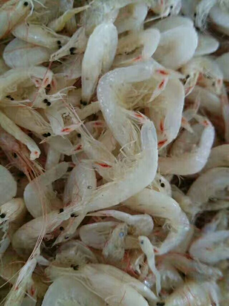 虾皮特级