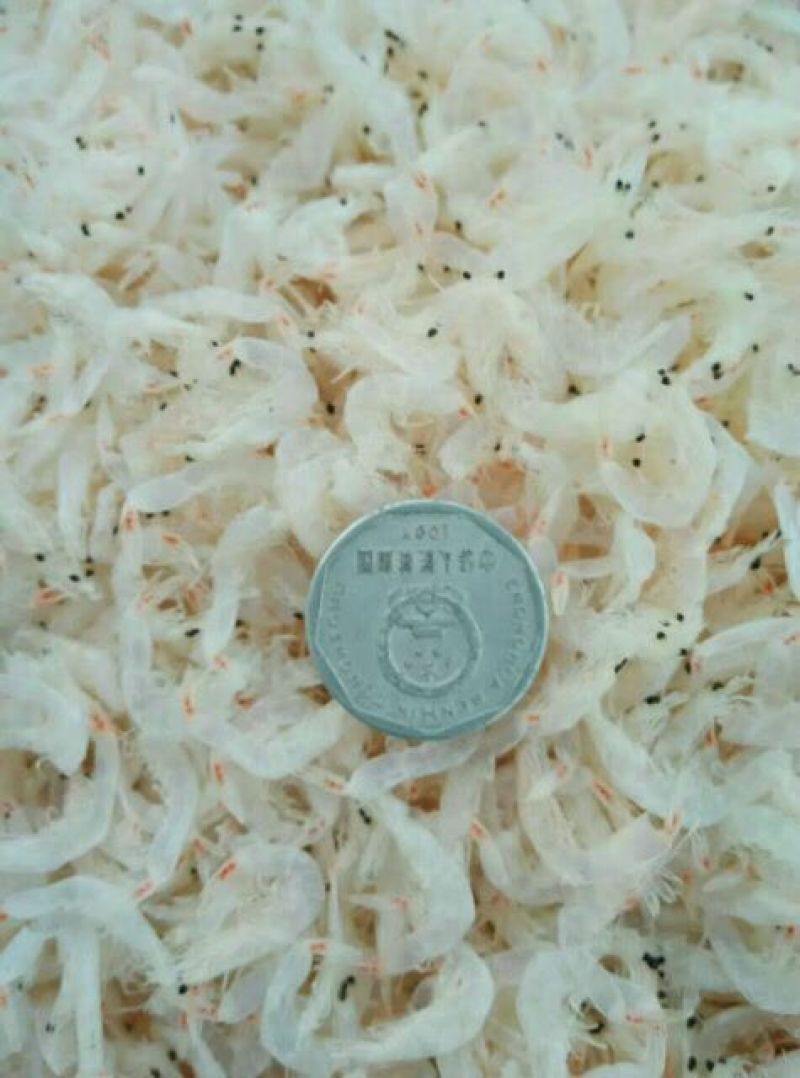 虾皮特级