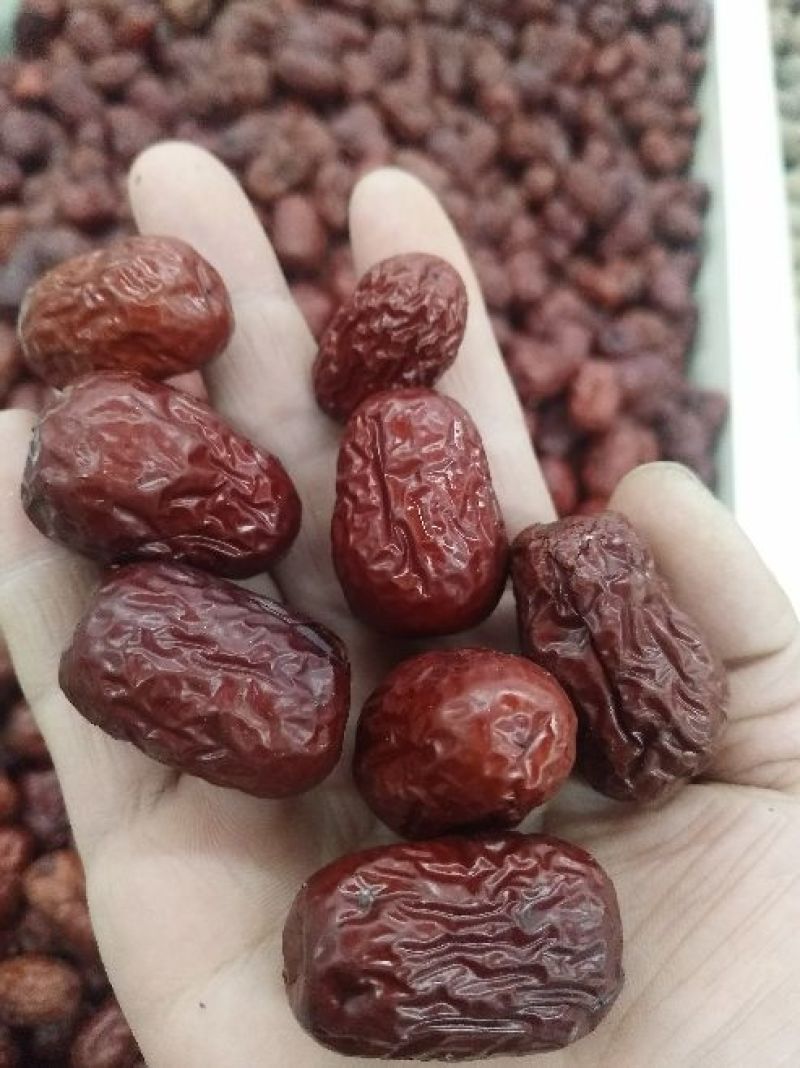 干红枣片红枣酥枣脆枣经