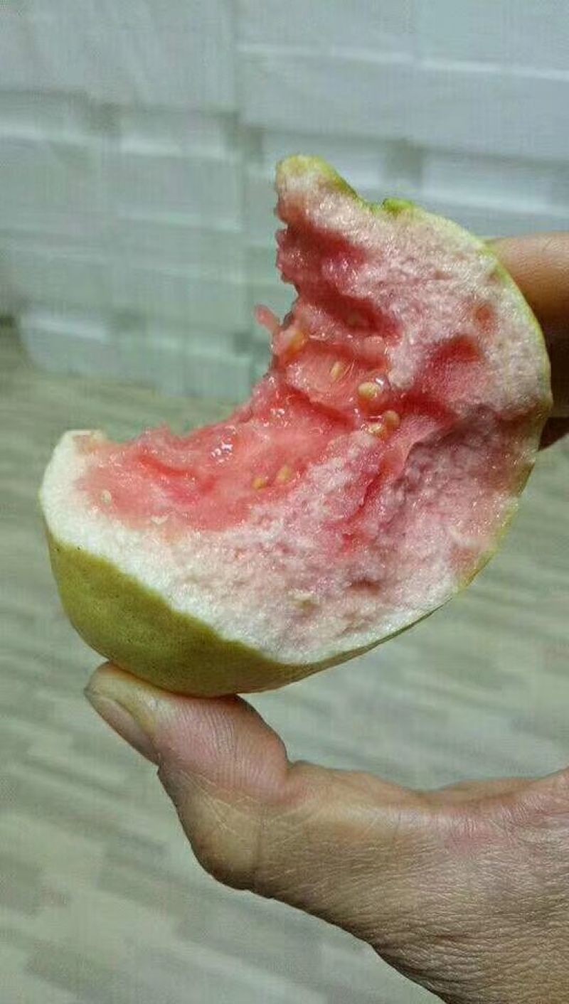 台湾红心芭乐番石榴5斤装