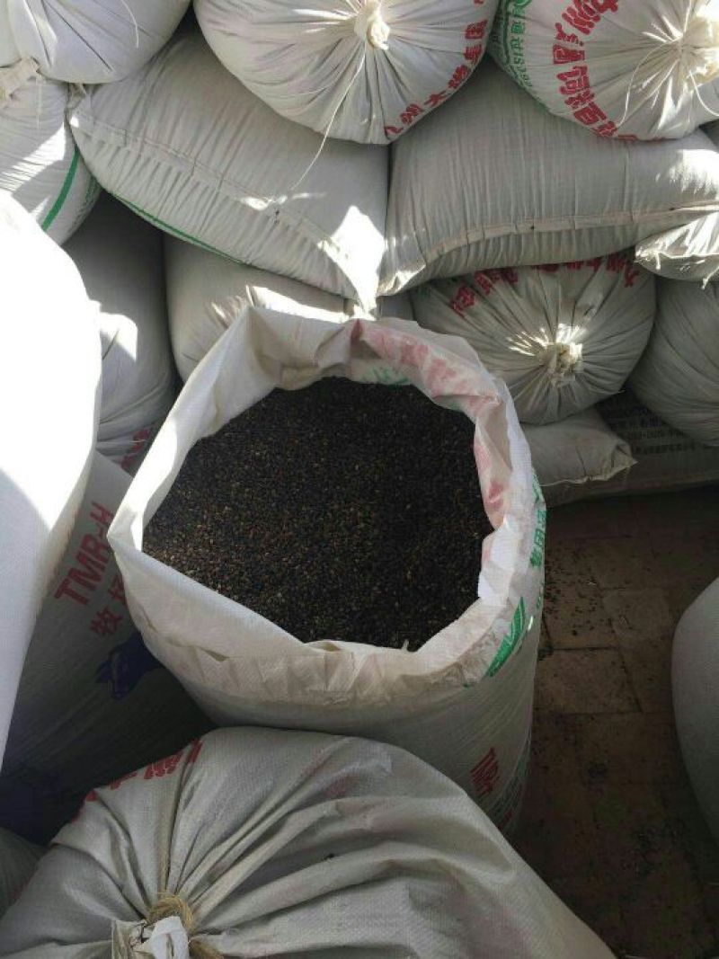 陕北定边苦荞麦黑苦荞灰苦荞产地直发，物美价廉