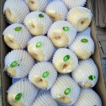 酥梨筐装200~250g