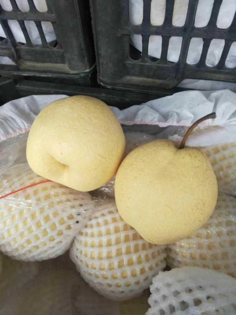 酥梨筐装200~250g