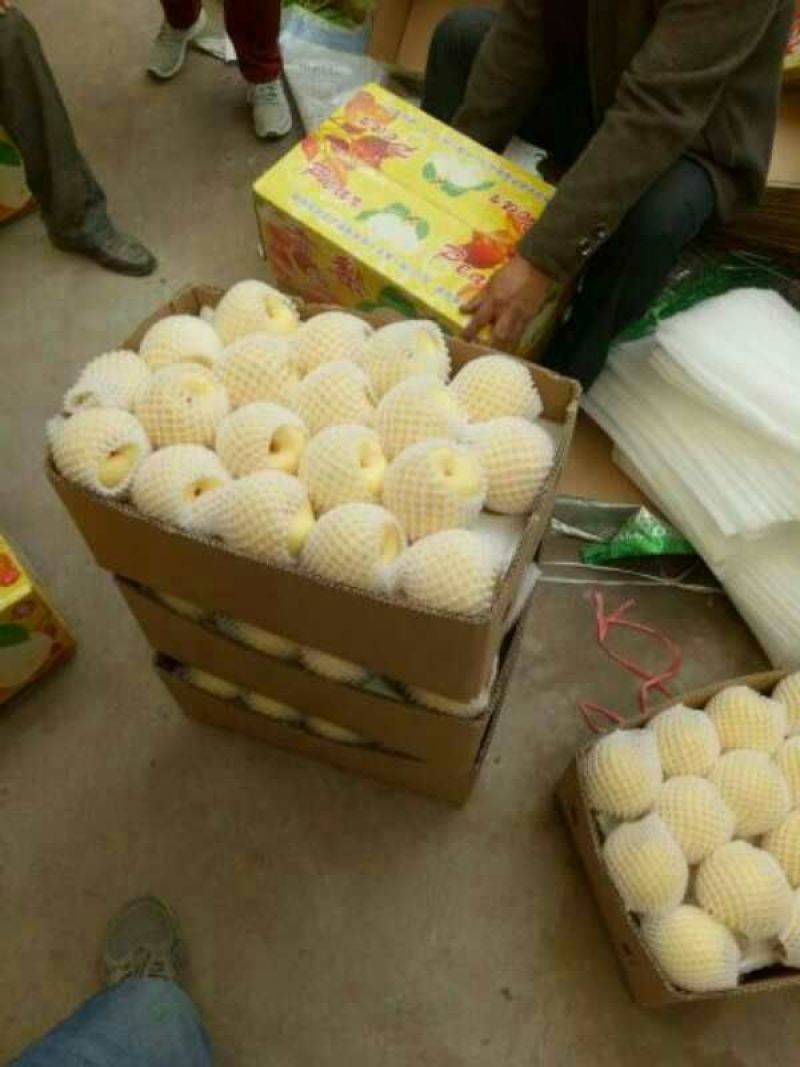酥梨筐装200~250g