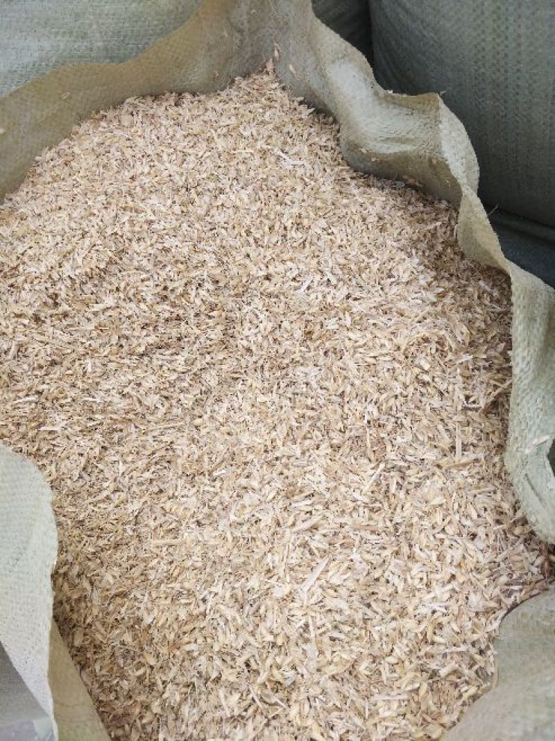 小麦壳