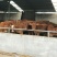 鲁西黄牛犊100~200kg