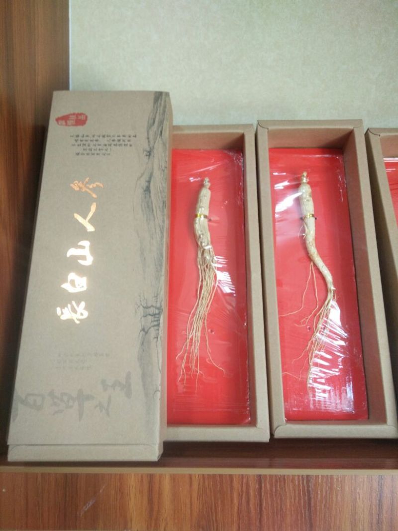 人参干